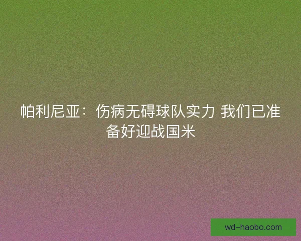 帕利尼亚：伤病无碍球队实力 我们已准备好迎战国米