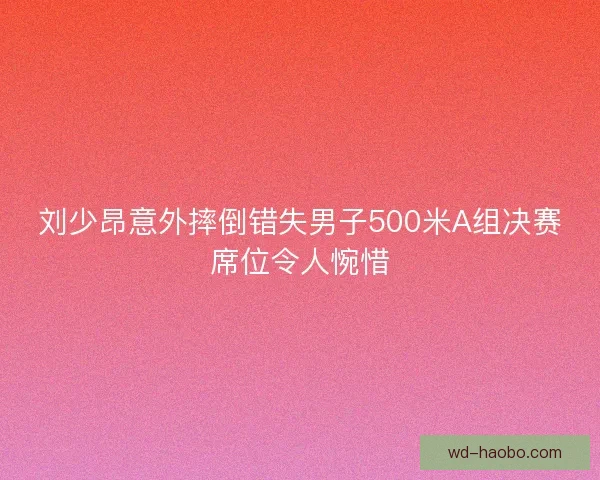 刘少昂意外摔倒错失男子500米A组决赛席位令人惋惜