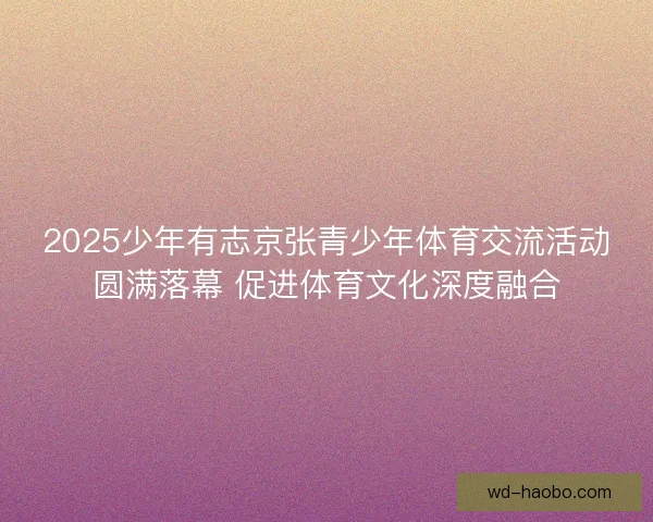 2025少年有志京张青少年体育交流活动圆满落幕 促进体育文化深度融合